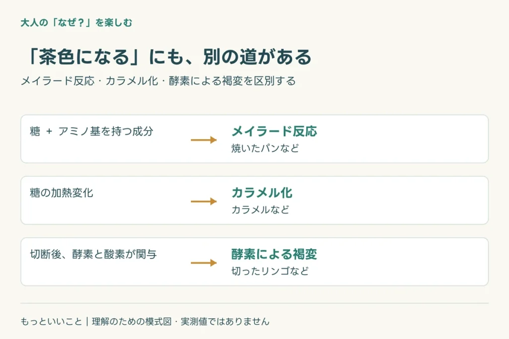 パンの中まで茶色にならないのはなぜ?に関わる仕組みを整理した図