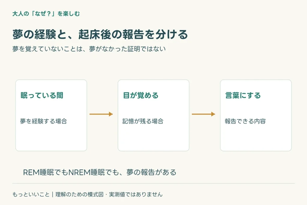 夢を研究するには、どうやって確かめる?に関わる仕組みを整理した図