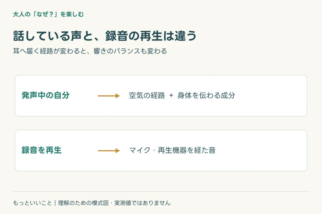 耳は、振動をそのまま保存する装置ではないに関わる仕組みを整理した図