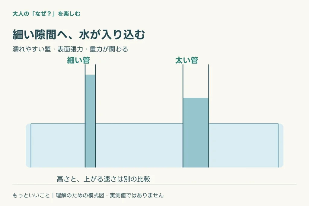 細い管では、水面が曲がるに関わる仕組みを整理した図