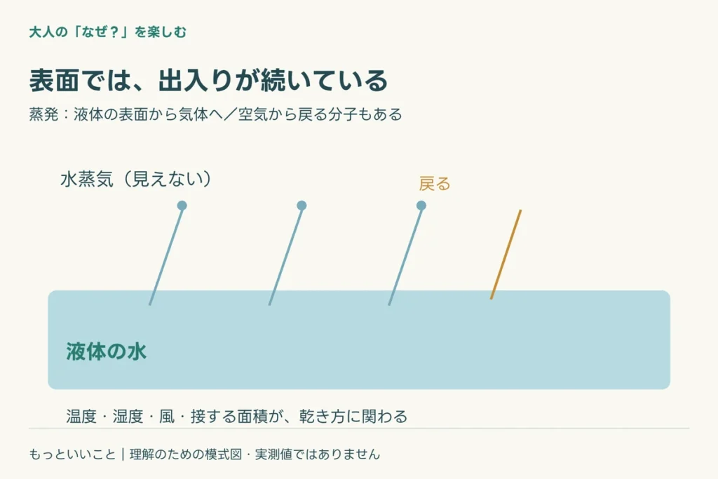 沸騰では、液体の中にも泡が育つに関わる仕組みを整理した図