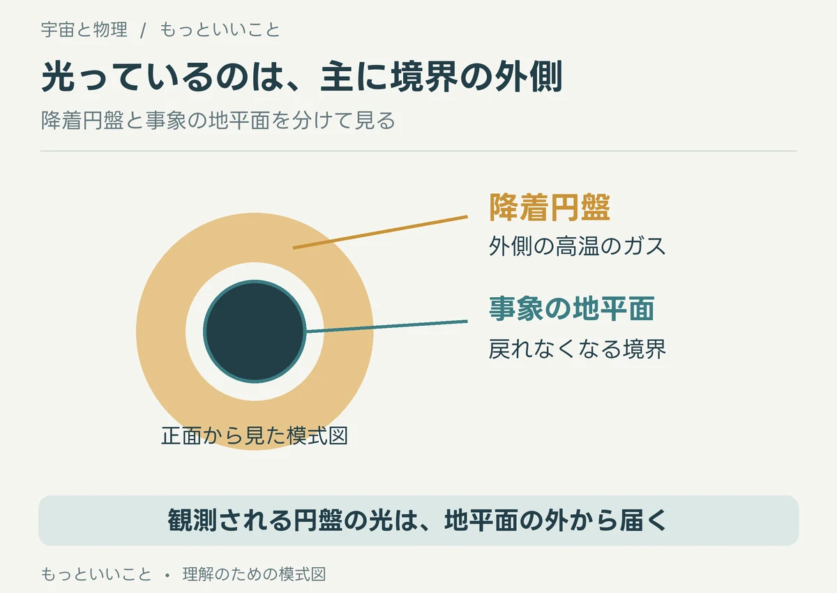 ブラックホールの事象の地平面と、その外側にある高温の降着円盤を分けた正面模式図。