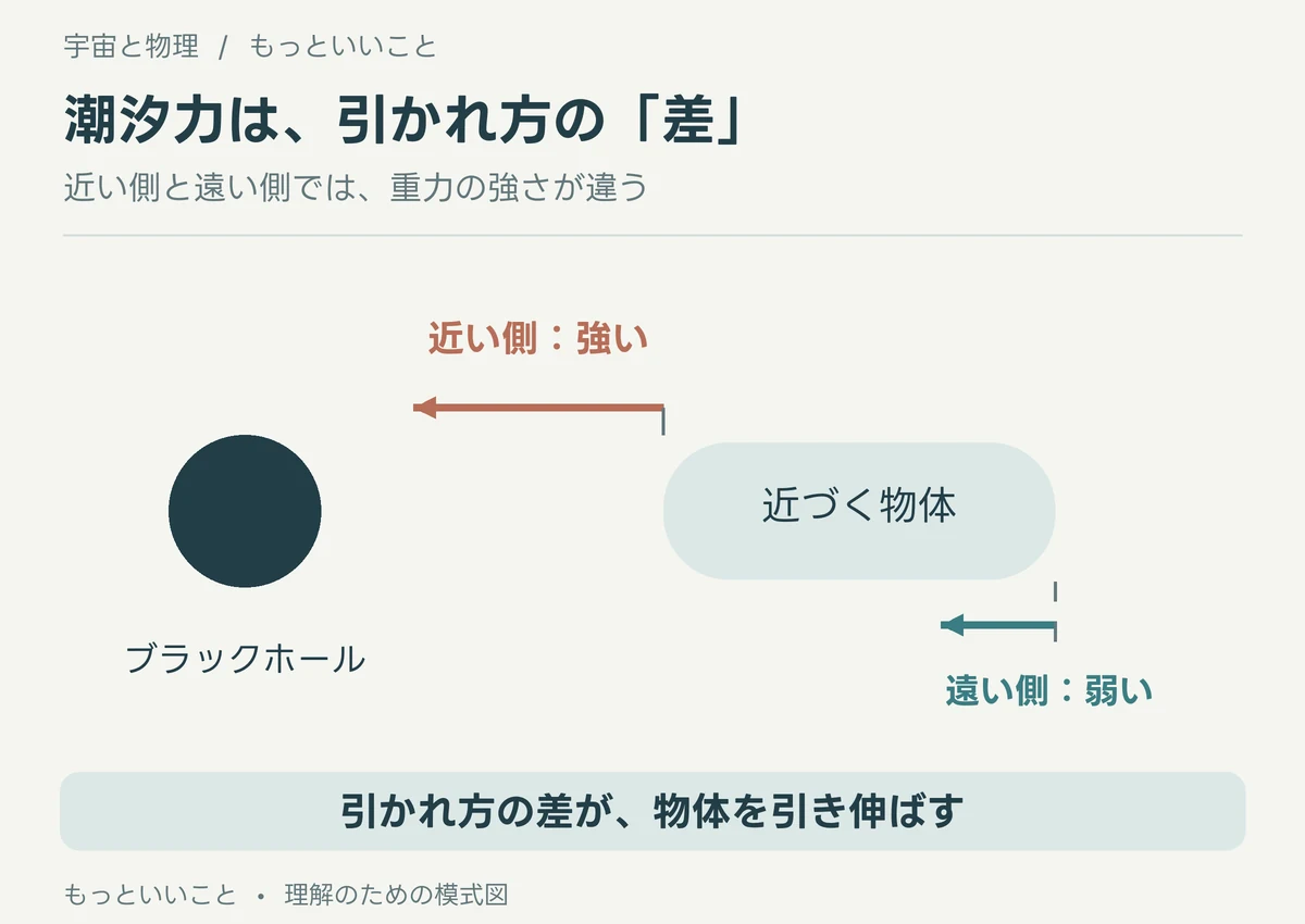 ブラックホールに近い側に長い重力矢印、遠い側に短い重力矢印を付け、潮汐力が重力の差で生じることを示す図。