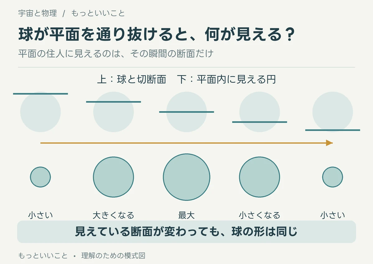 球を平面で切る高さが変わるにつれ、円形の断面が小さく、大きく、再び小さく変化する五段階の図。
