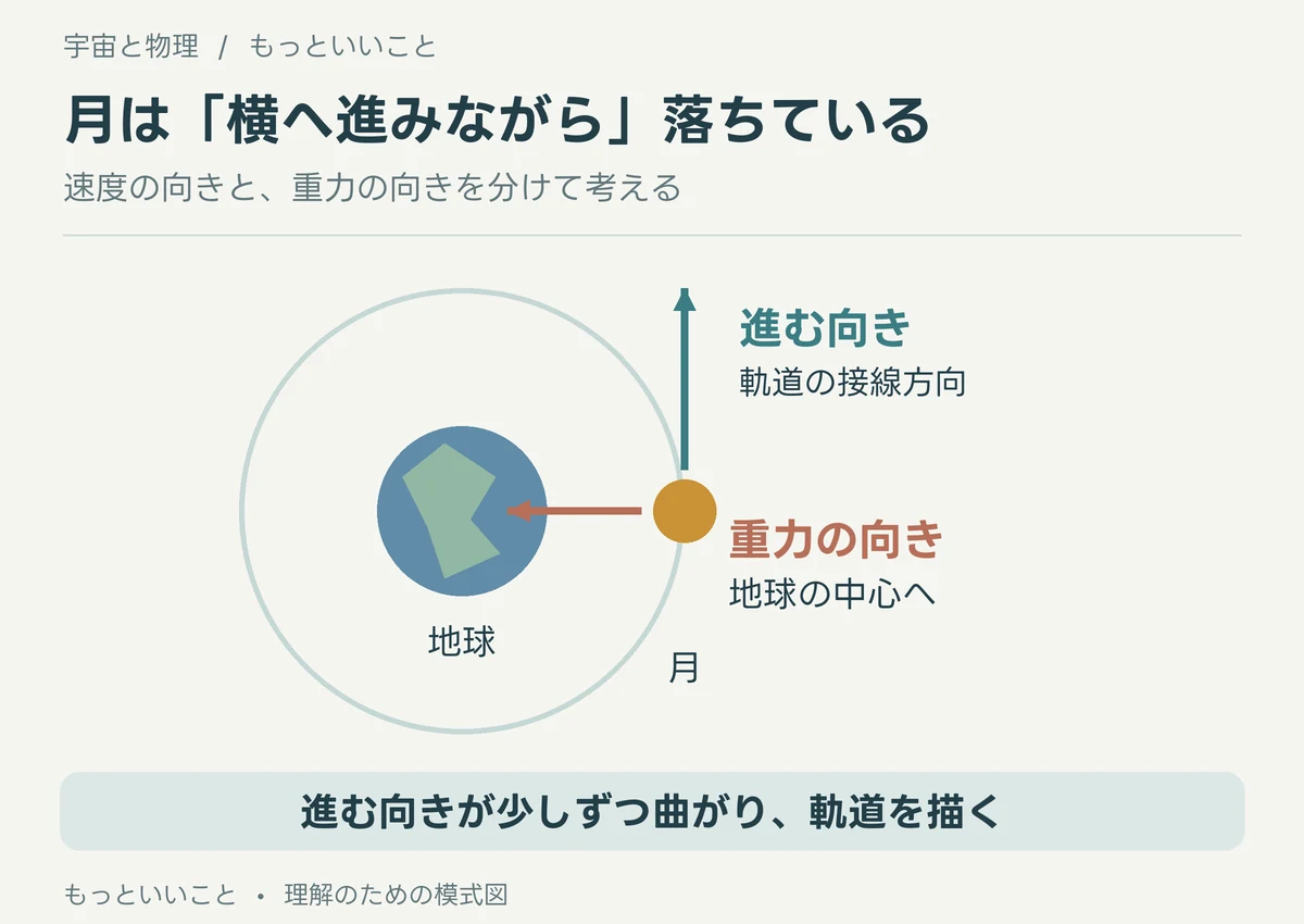月の速度は円軌道の接線方向、地球からの重力は中心方向を向く模式図。
