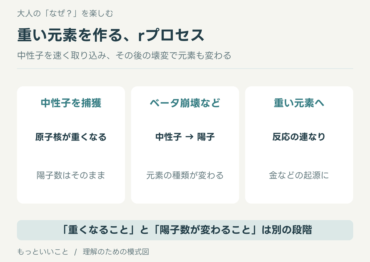 中性子の捕獲で原子核が重くなり、ベータ崩壊などを経て陽子数が変わり、重い元素が作られる流れの模式図。