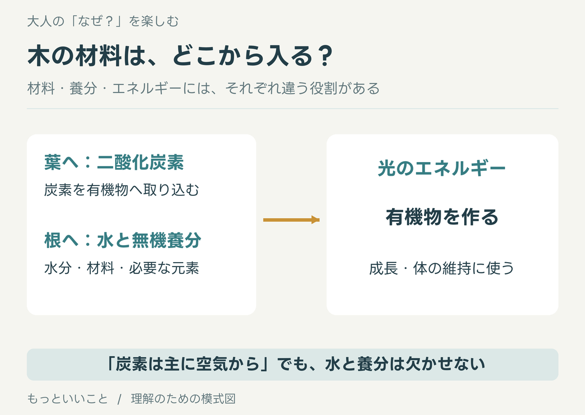 葉から二酸化炭素、根から水と無機養分を取り込み、光のエネルギーを使って有機物を作る植物の材料と役割。